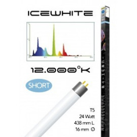 Tube t5 12000° icewhite short 24 watt- 438 mm compatible juwel