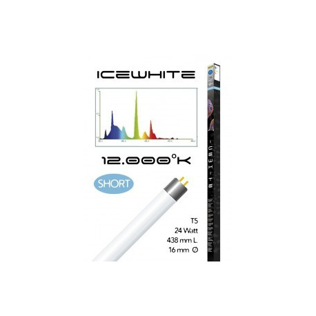 Tube t5 12000° icewhite short 24 watt- 438 mm compatible juwel