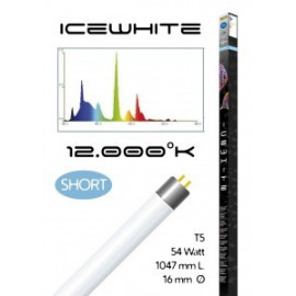 Tube t5 12000° icewhite short 54 watt- 1047 mm compatible juwel