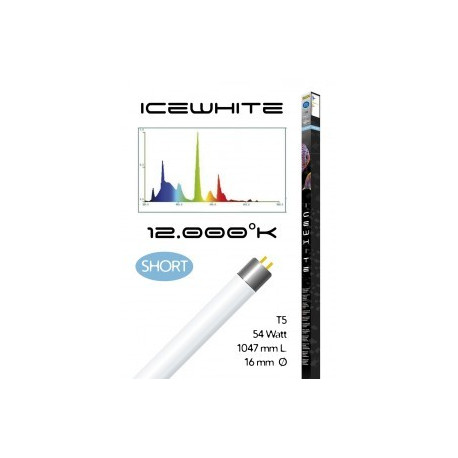 Tube t5 12000° icewhite short 54 watt- 1047 mm compatible juwel