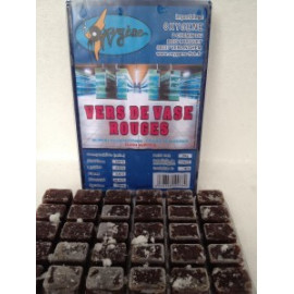 Vers de vase Rouges blister 100 grs