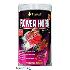Nourriture flower horn 250 ml