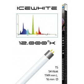 Tube t5 12000° icewhite 54 watt- 1149 mm