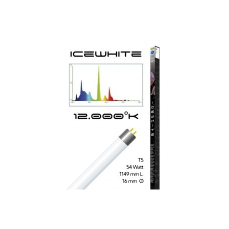 Tube t5 12000° icewhite 54 watt- 1149 mm