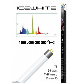 Tube t5 12000° icewhite 54 watt- 1149 mm