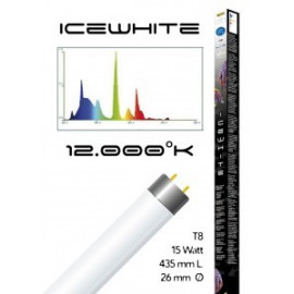 Tube t8 12000° icewhite 15 watt- 435 mm