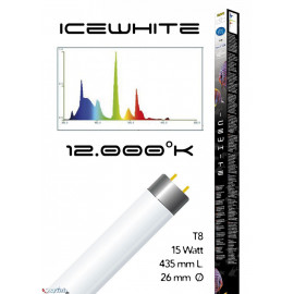 Tube t8 12000° icewhite 15 watt- 435 mm
