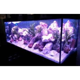 Aquarium + meuble led dream 150 blanc 150x50x65 cm 415 litres