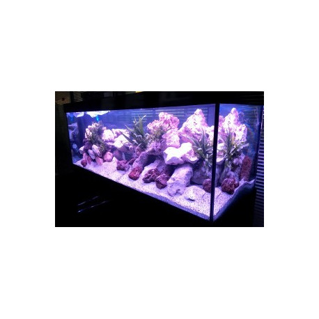 Aquarium + meuble led dream 150 blanc 150x50x65 cm 415 litres