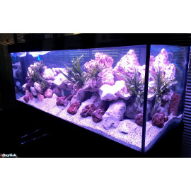 Aquarium + meuble led dream 150 blanc 150x50x65 cm 415 litres