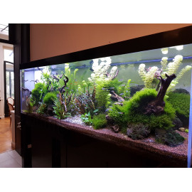 Aquarium oxyvision 500  - 120 x 45 x 69  - avec meuble - led 95 w ..