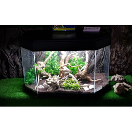 Aquarium panoramique 80 x 40 x 55 équipé 150 litres