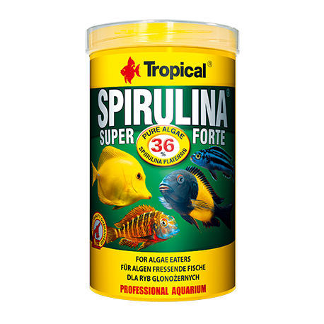 SPIRULINE SUPER FORTE 36% PAILLETES 1000ML