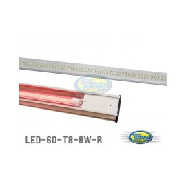 TUBE LED DE RECHANGE 60 CM  T8 8W