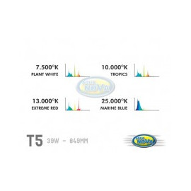 TUBE T5 TROPIC BLANC 849 mm 39W  10 000K