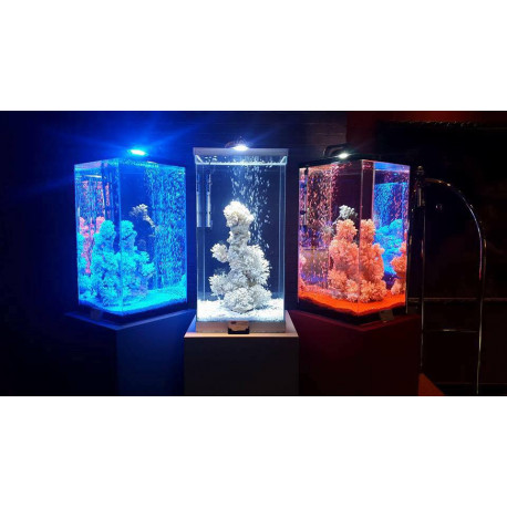 AQUARIUM COLONNE CUVE NUE 40 X 40 X 80 cm