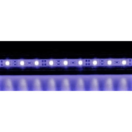 Tube LED simple blanc 25 cm 3 w + 1A transformateur électrique