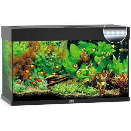 AQUARIUM  JUWEL RIO 125 LED NOIR - 125L - 81 x 36 x 50 cm