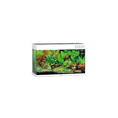 AQUARIUM  JUWEL RIO 125 LED BLANC - 125L - 81 x 36 x 50 cm