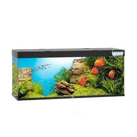 AQUARIUM  JUWEL RIO 450 LED NOIR - 450L - 151 x 51 x 66 cm