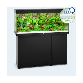 AQUARIUM + MEUBLE JUWEL RIO 240 LED - 240L - NOIR - 121 x 41 cm