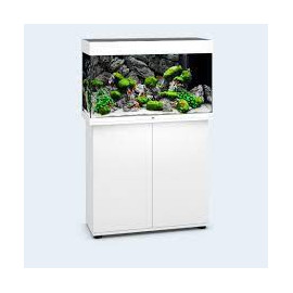 AQUARIUM + MEUBLE JUWEL RIO 125 LED BLANC - 125L - 81 x 36 x 123 cm