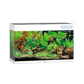 AQUARIUM JUWEL RIO 240 LED - 240L - BLANC - 121 x 41 x 55 cm