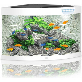 AQUARIUM JUWEL TRIGON 190 LED BLANC - 190L- 98.5 x 70 x 60 cm