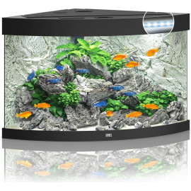 AQUARIUM JUWEL TRIGON 190 LED NOIR - 190L- 98.5 x 70 x 60 cm