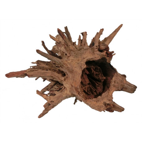 Racine naturelle CORBO ROOT M 30-40 cm