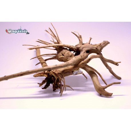 Racine naturelle SPIDER WOOD 60-90cm - moy . 1.600 kg