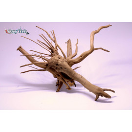 Racine naturelle SPIDER WOOD 60-90cm - moy . 1.600 kg