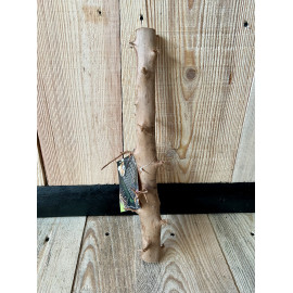 Racine naturelle LONG HANDS WOOD M 30-40 cm