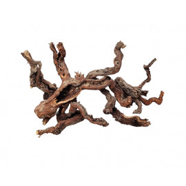 Racine naturelle CENTURION WOOD L 30-50 cm