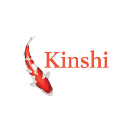 Kinshi