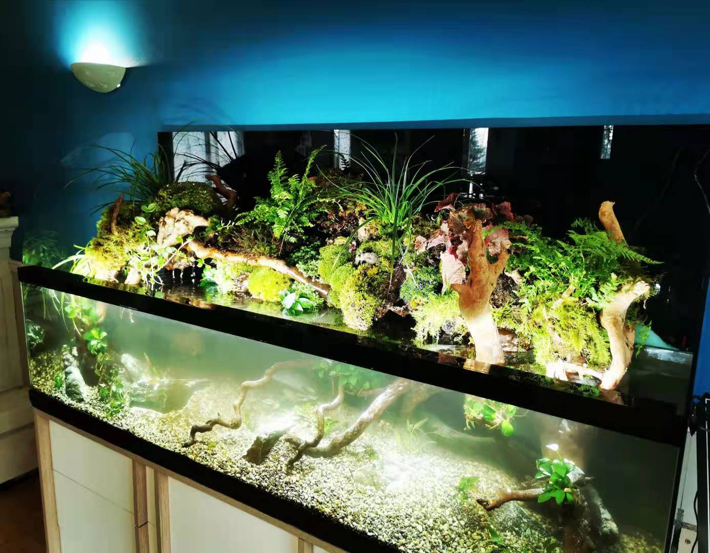 ENTRETIEN A DOMICILE AQUARIUM