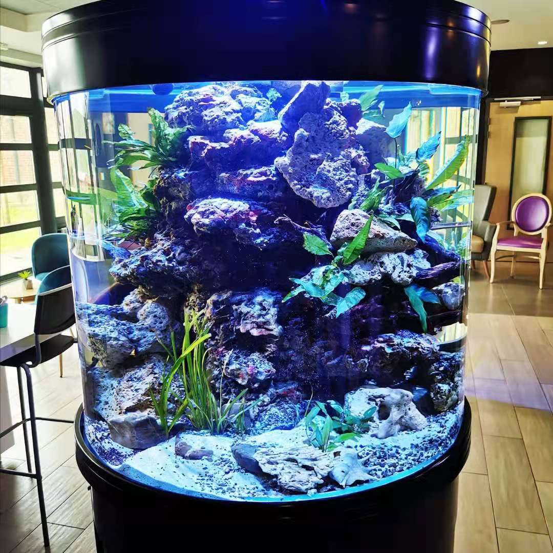 Un aquarium d'eau de mer chez un particulier