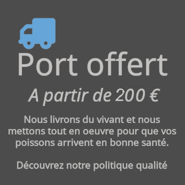 port-offert_1_1.png